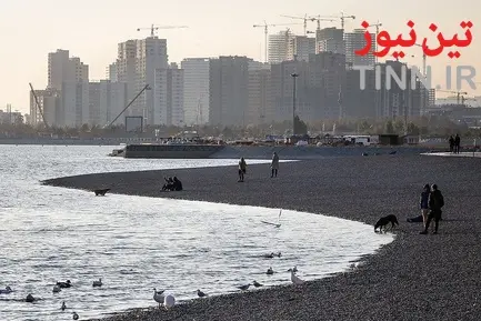تهران؛ میزبان «پرندگان سیبری»