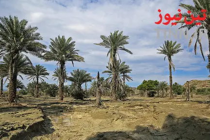 مناطق سیل زده جاسک