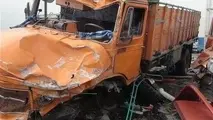 سکته راننده سبب برخورد کامیون با درخت شد