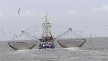 Sudden sinking of fishing vessel highlights need of wearing PFDs
