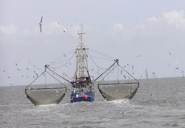 Sudden sinking of fishing vessel highlights need of wearing PFDs
