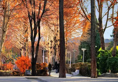 چهار باغ عباسی بر پایه چهار باغ ایرانی