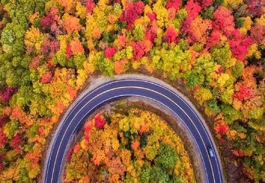زیباترین جنگل های پاییزی ایران؛ از مازندران تا جلفا