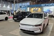  سیاست گذار می خواهد خودروی برقی وارد کنیم ولی تولید نکنیم!