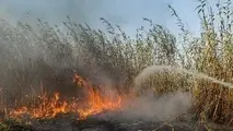 حریق در منطقه قاضیان تالاب انزلی کامل مهار شد