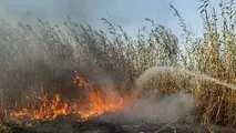 حریق در منطقه قاضیان تالاب انزلی کامل مهار شد