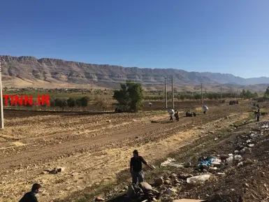 گزارش تین