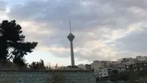  چالش نجفی با آمارهای گمراه‌کننده 