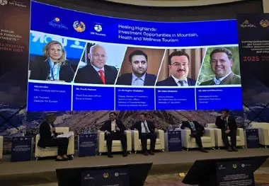 ایران آماده جذب سرمایه خارجی در حوزه گردشگری تندرستی است