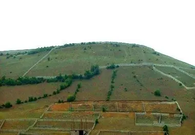 این روزها مراقبت زمین‌خواران باشید
