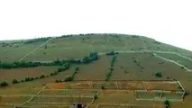 این روزها مراقبت زمین‌خواران باشید
