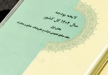 
کلیات لایحه بودجه ۱۴۰۴ تصویب شد
