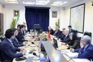مشکلات پایانه های مرزی ایران و ترکیه حل و  فصل می شود