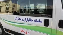 افزایش ناوگان حمل و نقل معلولان و جانبازان پایتخت تا پایان سال