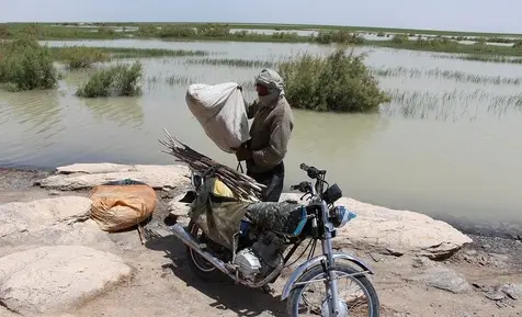 دریاچه هامون 