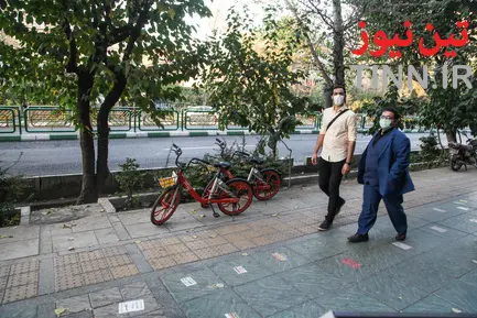 بیدود