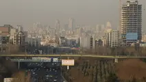دستیار «کرونا» در پایتخت