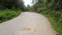 مناقصه بهسازی و آسفالت راه روستایی چفت سر و چالرز بابل