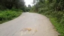 مناقصه بهسازی و آسفالت راه روستایی چفت سر و چالرز بابل