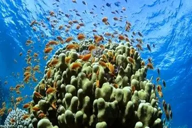  BP Sells Majority Stake in Castrol to Stonepeak for $6B