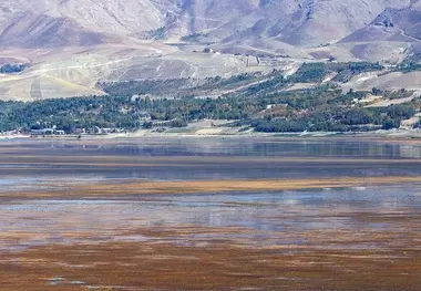 آبگیری ۲ تالاب دورگه‌سنگی و آق‌قلعه نقده آغاز شد