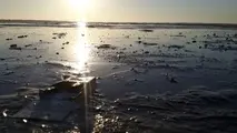 خطر آلودگی نفتی بر اثر سیل خوزستان