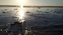 خطر آلودگی نفتی بر اثر سیل خوزستان