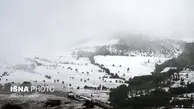 بارش برف در ارتفاعات محور «کیاسر - ساری»