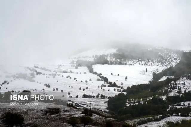 بارش برف در ارتفاعات محور «کیاسر - ساری»