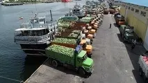 افزایش ۶۵ درصدی ترانزیت در بندر شهید باهنر