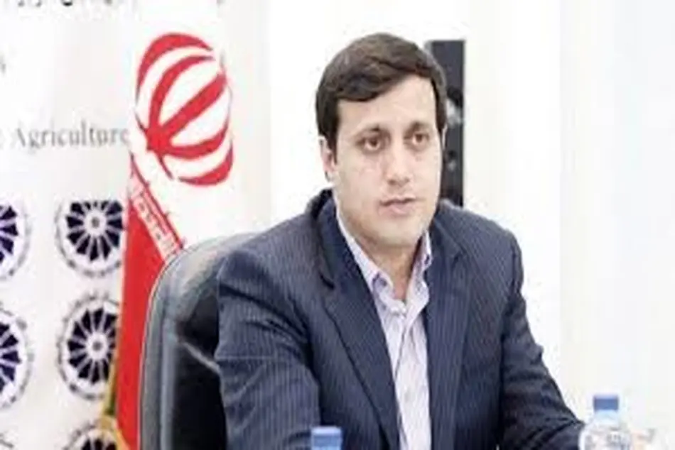 حملونقل متولی واحد ندارد