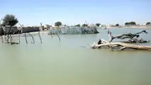 فیلم| تخریب یک پل تازه‌ افتتاح شده بر اثر سیل!