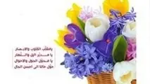 ◄ هشتمین شماره ماهنامه درون پروازی قشم منتشر شد