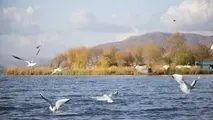 پروژه انتقال آب سد گاران به دریاچه زریوار عملیاتی شد