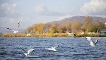 پروژه انتقال آب سد گاران به دریاچه زریوار عملیاتی شد