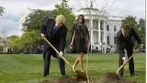 درخت دوستی مکرون و ترامپ خشک شد!