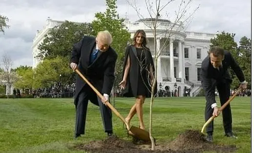 درخت دوستی مکرون و ترامپ خشک شد!