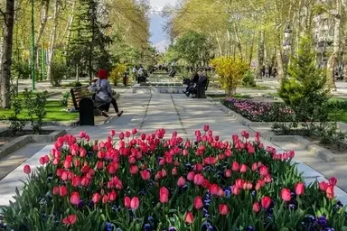 فضای سبز؛ زیرساخت حیاتی حمل‌ و نقل پایدار و بقای شهرها / لزوم توقف نگاه خودرو محور به درختان شهر
