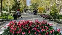 فضای سبز؛ زیرساخت حیاتی حمل‌ و نقل پایدار و بقای شهرها / لزوم توقف نگاه خودرو محور به درختان شهر