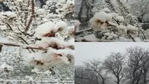 روز چهارشنبه موج جدید بارشی وارد کشور می شود