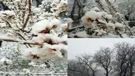بارش برف بهاری شمال و جنوب آذربایجان‌ غربی را سفید پوش کرد