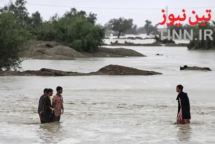 سیل در جاسک