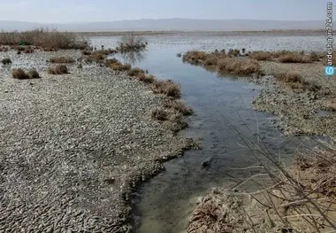 یک لکه آبی منحصر به فرد