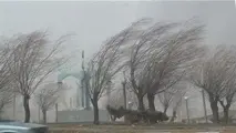 وزش باد شدید در ۱۲ استان