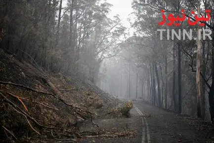  آتش سوزی در جنگل های استرالیا