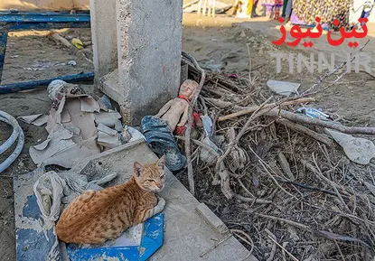 مناطق سیل زده دشتیاری چابهار