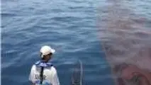 مانور مقابله با آلودگی دریایی برگزار شد