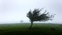 تندبادی با سرعت ۵۸ کیلومتر در ساعت مهاباد را درنوردید
