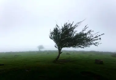 تندبادی با سرعت ۵۸ کیلومتر در ساعت مهاباد را درنوردید