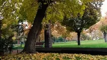 بوستان های تهران بازگشایی شد